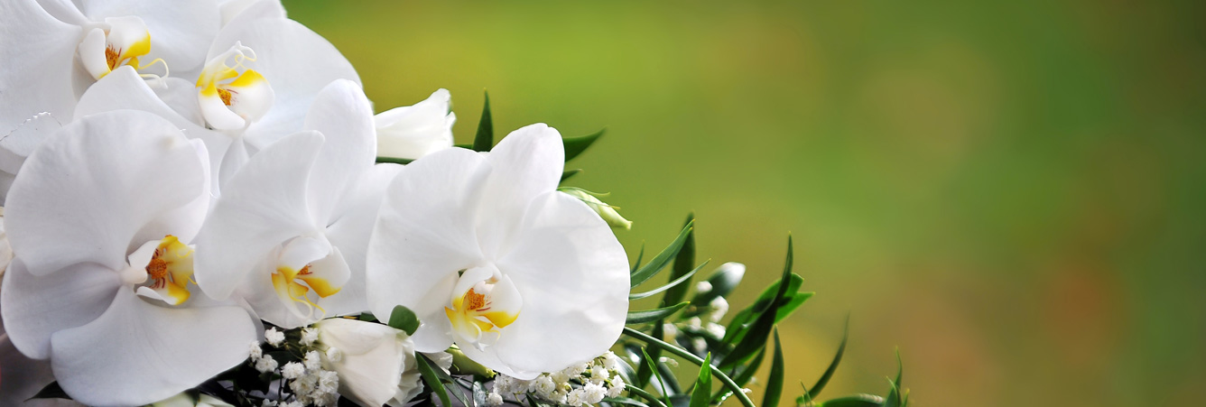 Regalando flores siempre acertarás